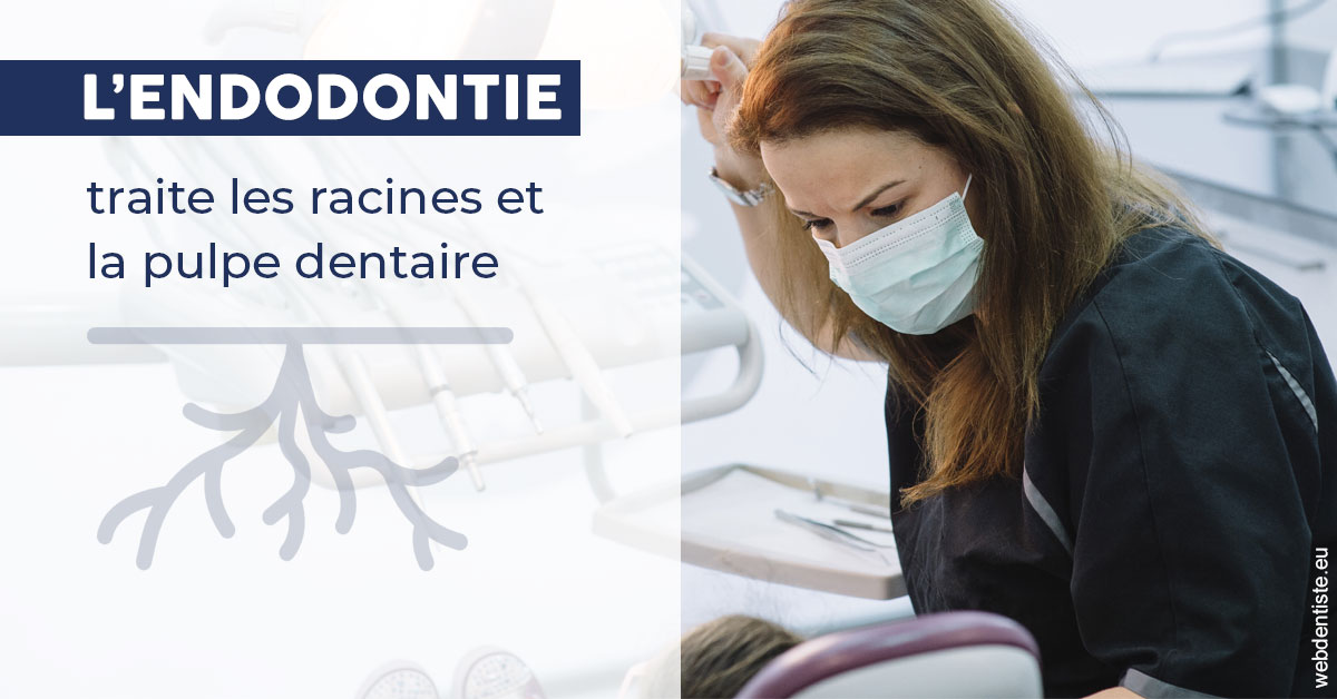 https://dr-renger-stephane.chirurgiens-dentistes.fr/L'endodontie 1