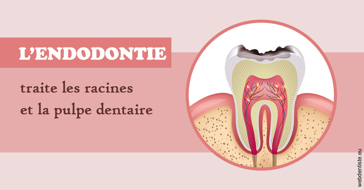 https://dr-renger-stephane.chirurgiens-dentistes.fr/L'endodontie 2