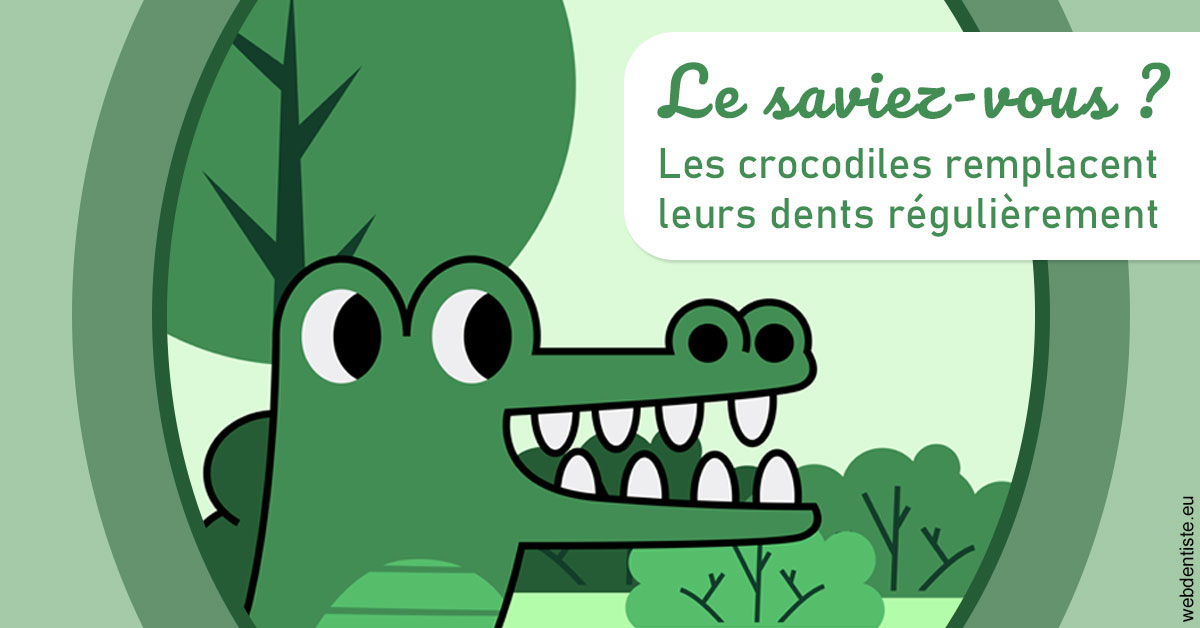 https://dr-renger-stephane.chirurgiens-dentistes.fr/Crocodiles 2