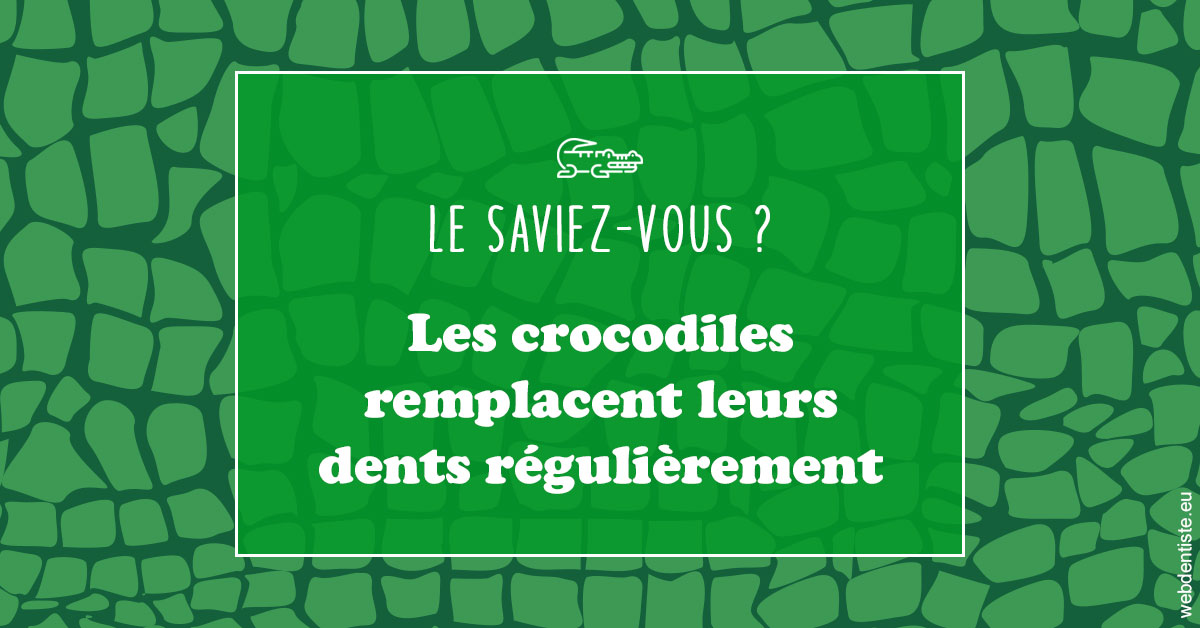 https://dr-renger-stephane.chirurgiens-dentistes.fr/Crocodiles 1